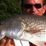 Anna Maria Island Fishing Report: Captain Aaron Lowman-09-25-2013