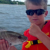 Anna Maria Island Fishing Report: Captain Aaron Lowman-09-14-2013