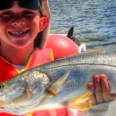 Anna Maria Island Fishing Report: Captain Aaron Lowman-04-28-2014