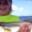 Anna Maria Island Fishing Report: Captain Aaron Lowman-09-09-2013