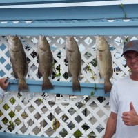 Anna Maria Island Fishing Report – November 23, 2015