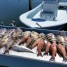 Anna Maria Island Fishing Guide – January 26, 2016