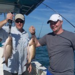 double mangrove snapper