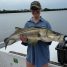Anna Maria Island Snook Fishing In October