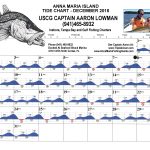 Anna Maria Island, FL Tide Chart December, 2018