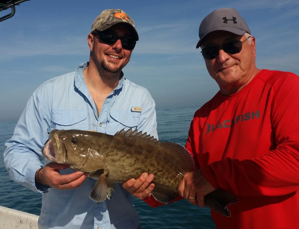 Grouper in Tampa Bay